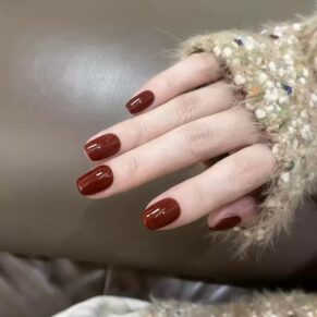 Nails N01 - ২৪ পিসের নখ সেট গ্লু সহ