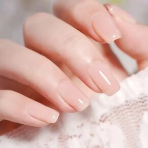 Nails N06 – ২৪ পিসের নখ সেট গ্লু সহ