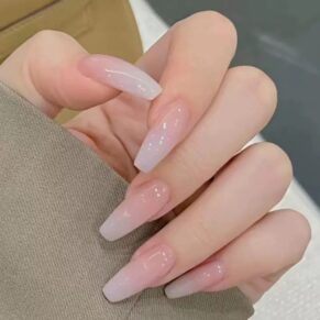 Nails N21 – ২৪ পিসের নখ সেট গ্লু সহ